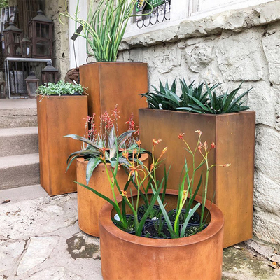 گلدان های فلزی مربعی بزرگ در فضای باز Corten Steel Planter را سفارشی کنید