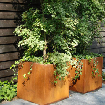 گلدان های فلزی مربعی بزرگ در فضای باز Corten Steel Planter را سفارشی کنید