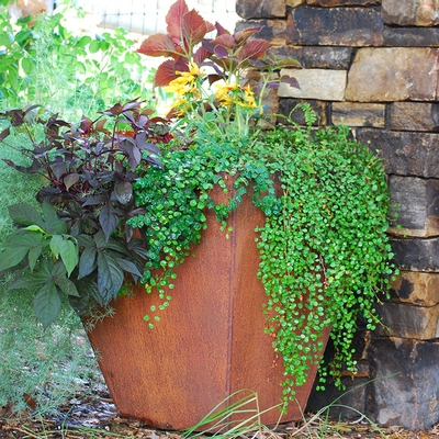 OEM ODM Raised Metal Planter Box Corten Steel