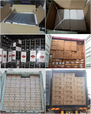 حیاط خلوت پارکی قابل حمل خانگی در فضای باز برای آشپزی کوره های باربیکیو گازی استیل ضد زنگ